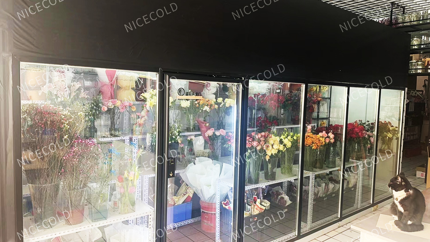 America-flower-display-cold-room-1