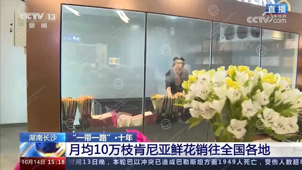 The-flower-display-cold-room-we-built-was-on-CCTV-news-1