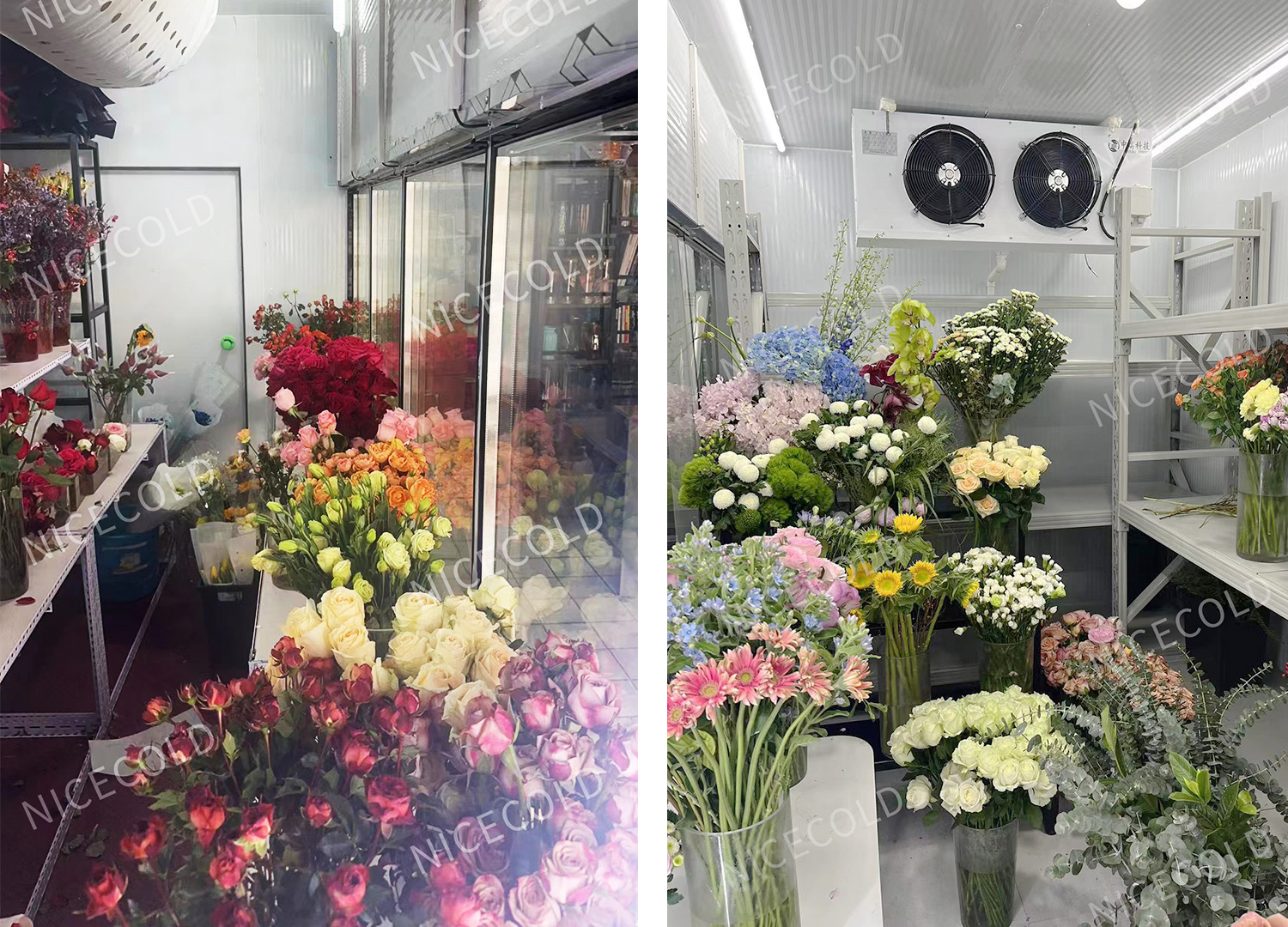 flower-display-disply-cold-room-2